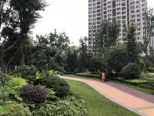 北滨路上 正规一室一厅 业主住家装修 随时看房