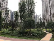 财信北岸江山东区 2室1厅 东南