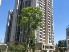 浩立阳光花园 3室2厅 东南