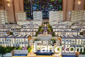 中 央公园206平 排屋 西边间,受用面积400平