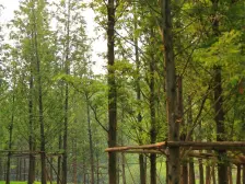 照母山 东原湖山樾别墅八房1700万