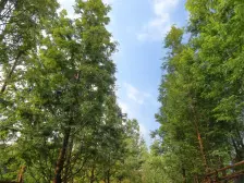 照母山 东原湖山樾别墅五房650万