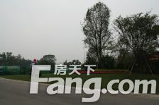 恒大上林苑 3室1厅 南