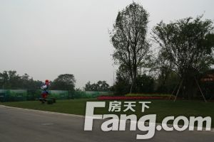 恒大上林苑 4室2厅 南