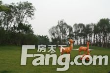 恒大上林苑 4室2厅 东南