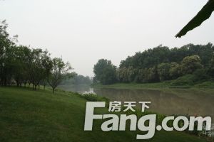 恒大上林苑 4室2厅 南