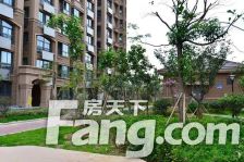 东成凯亚国际 3室2厅 南