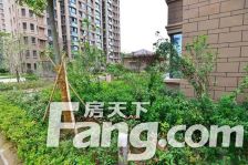 东成凯亚国际 3室2厅 南 北