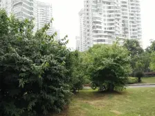 一线临江,高楼层,好视野,百米楼距,南北通大3房