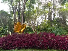 回兴 万科金域蓝湾三期四房165万