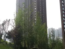 回兴 万科金域蓝湾一二期三房170万