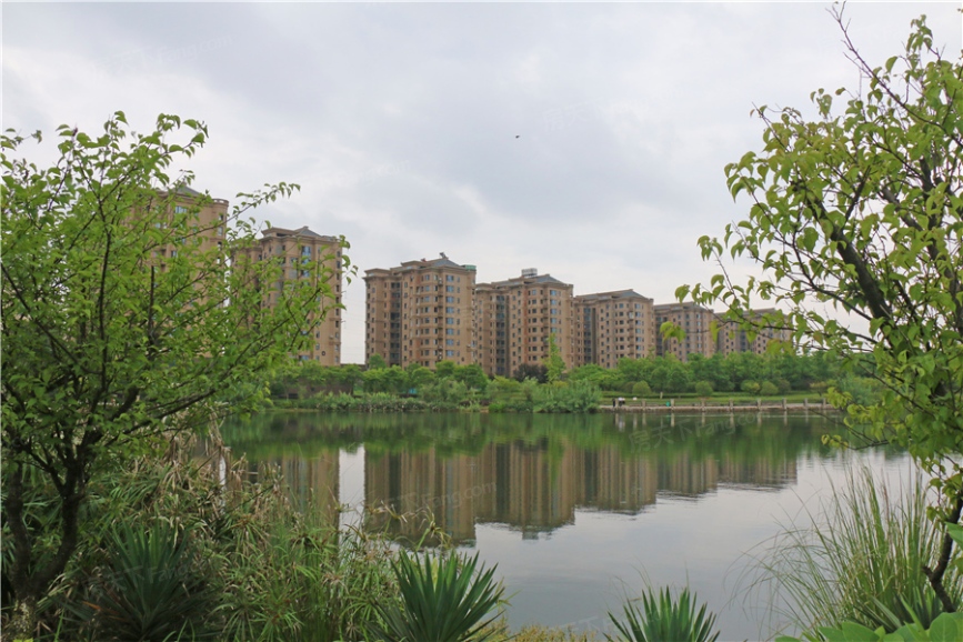 【衢州房天下:那么和位于深圳市中心区香蜜湖畔的香蜜湖一号有什么