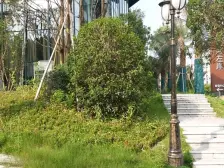 万科金域蓝湾 4室1厅 南