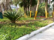 回兴 万科金域蓝湾四期四房175万