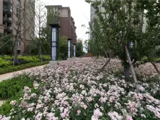 青山湖东园 南北通透,采光好 装修好,环镜优美 中间楼层