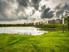 杨行 · 万业紫*苑 · 2室 · 1厅