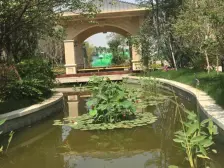 此房采光充足,业主急售,前排无遮挡,有客户就可以谈