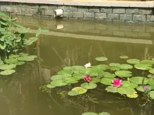 此房精装修,户型好方正,舒适度高,通透