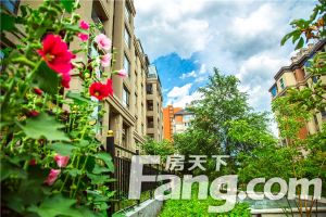 慧谷蓝庭 飞机四居 房本满二 中高楼层 小区新的楼栋