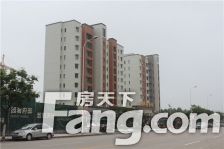 带车位 碧桂济州府大平层 精装 5室3厅人车分流 无遮挡