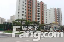 碧桂园济州府4室2厅南北