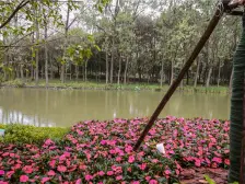 仁恒物业书香雅居精装修次新小区自带空调地暖和新风