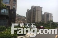 山畔景苑 苍梧东港旁 标准两室 中间楼层 采光好