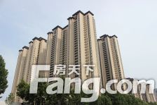 金泰华府南区1室1厅南