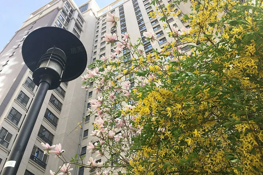 实景图
