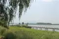 缙颐·玫瑰庄园周边配套