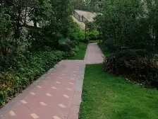 纯洋房小区+环境优美+ 出则繁华+入则宁静+正规三房