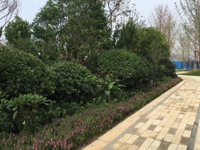 龙中金源 3室1厅 南 北