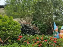 茶山新区,保利锦城4房 地铁口物业 南北双阳台