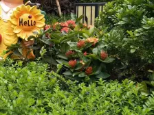 茶山保利锦城二期,配套齐全小区,交通方便