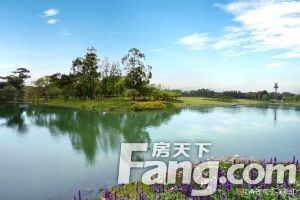 两河院子 5室2厅 东南