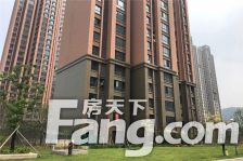 纯毛坯 随意装修 楼层好 采光无遮挡