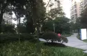 佳兆业丽晶港实景图