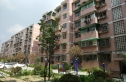 神仙树小区实景图