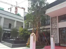 恒大江湾 3室2厅 南