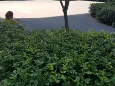 南滨路 诚投天邻水岸四房200万