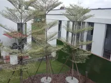 恒大江湾,大两房 看花园,看江景,急售