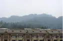 都江之春实景图