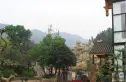 都江之春实景图