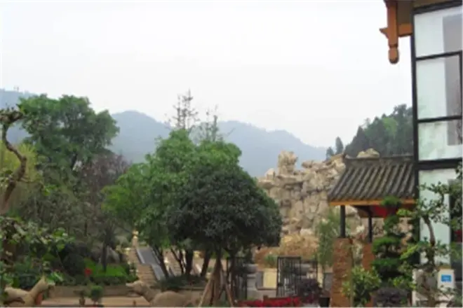 都江之春实景图