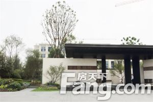 保利堂悦 4室1厅 西南