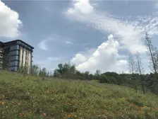 照母山 龙湖舜山府一期大平层一房420万