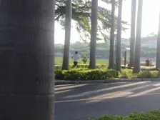 小户型,低楼层,适合3口之家的家庭使用