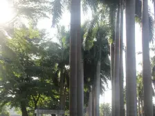 峰景台3房2厅2卫,业主诚意出售