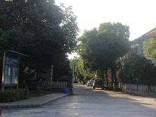 峰景台三房两厅两卫朝南安静不吵