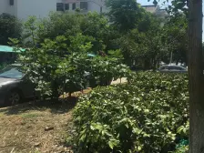 夏阳·佳乐苑·3室·2厅